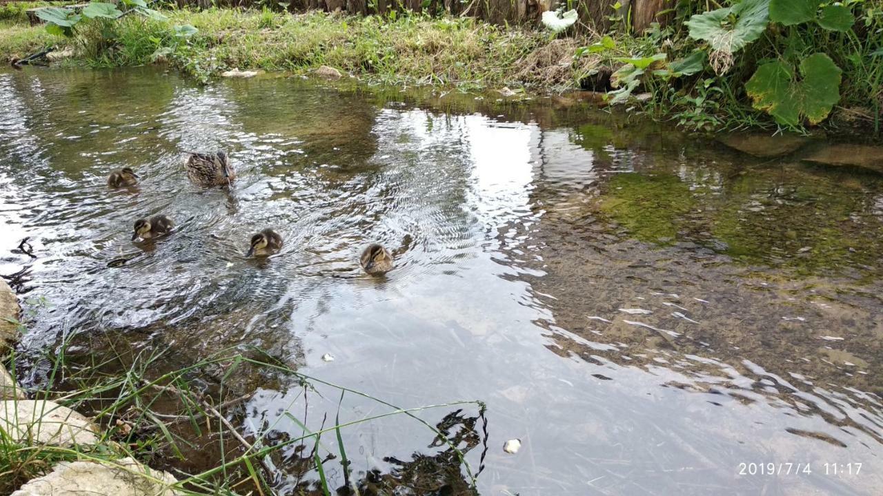 فندق Prijebojفي  Plitvice Streaming المظهر الخارجي الصورة